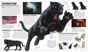 Dungeons & Dragons Die Legende von Drizzt, die illustrierte Enzyklopädie