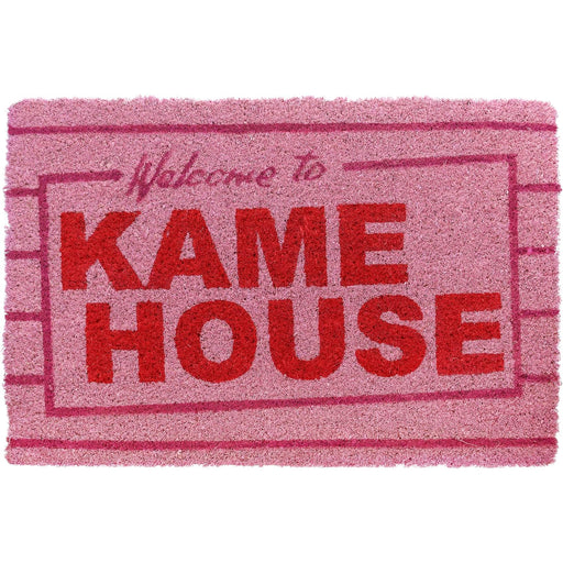 22957_dragon-ball-zerbino-kame-house-main.jpg