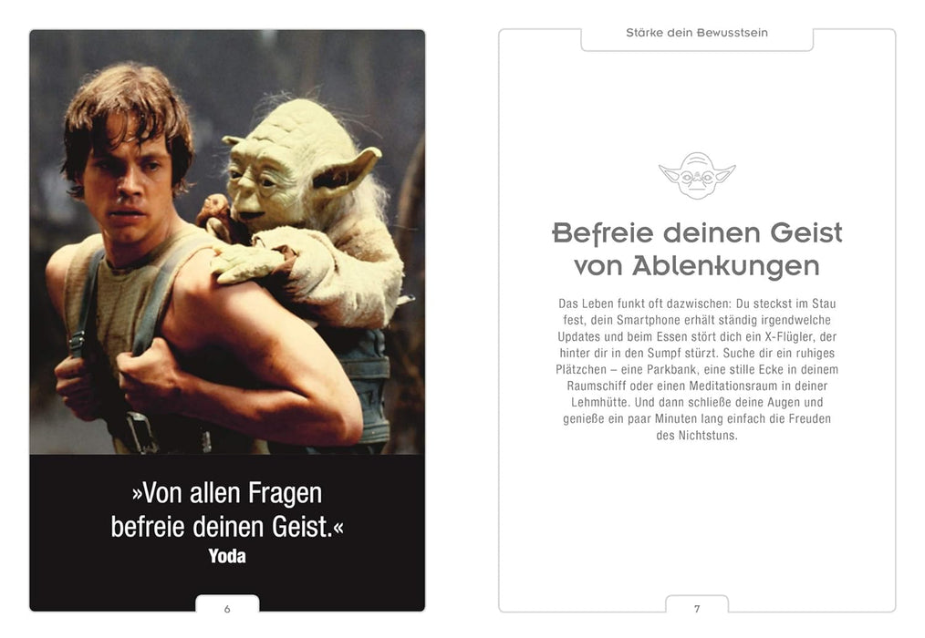 23033_star-wars-entdecke-den-yoda-in-dir-page1.jpg