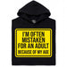 Mistaken For An Adult - Main view Hoodie Black