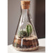 Kit de cultivo terrario en matraz Erlenmeyer