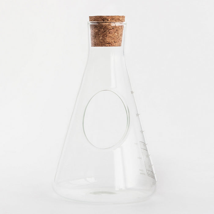 Kit de cultivo terrario en matraz Erlenmeyer
