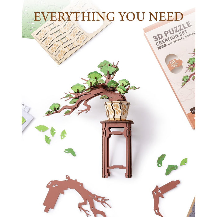 productImage-23110-immergruener-kiefernbonsai-holzbausatz-4.jpg