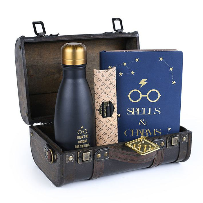 Caja de regalo Harry Potter Trouble Finds Me