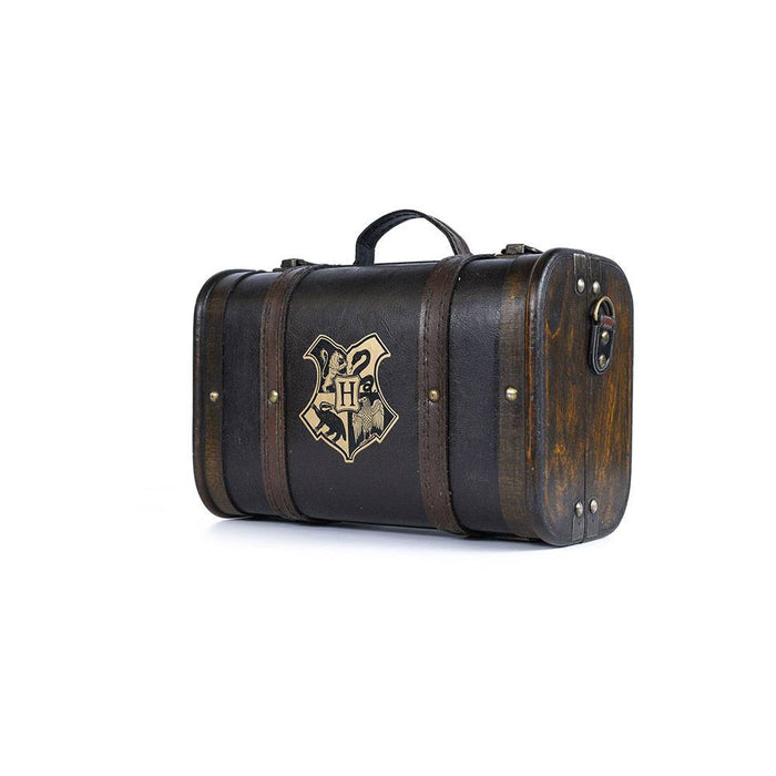 Caja de regalo Harry Potter Trouble Finds Me