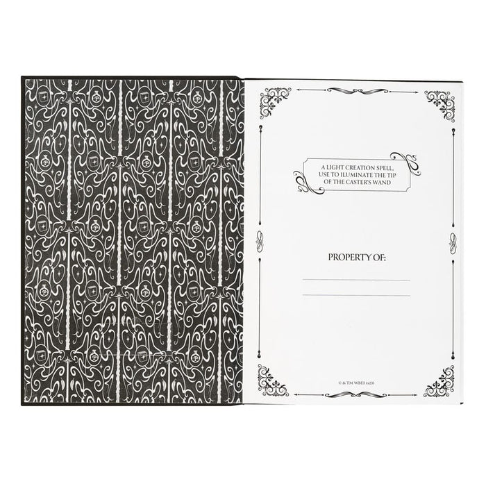 Carnet Harry Potter Lumos avec baguette