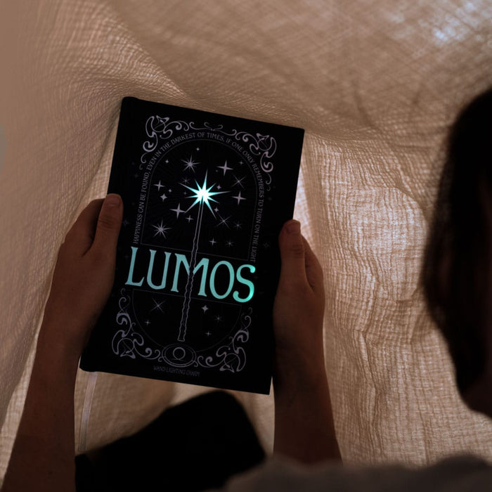 Carnet Harry Potter Lumos avec baguette
