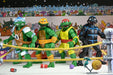 Teenage Mutant Ninja Turtles Stump Wrestling Confezione da 4 Action Figure (Archie Comics)